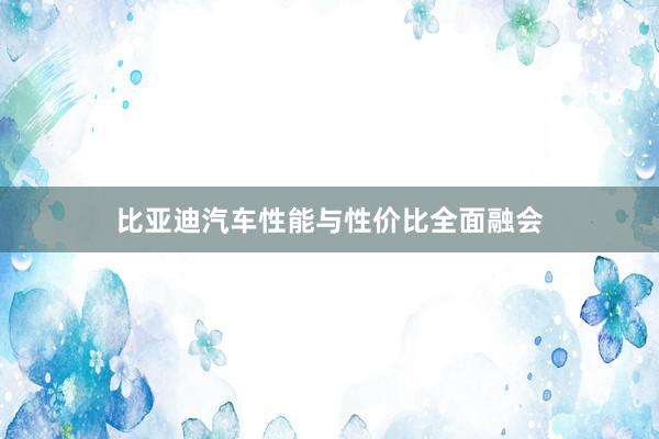 比亚迪汽车性能与性价比全面融会